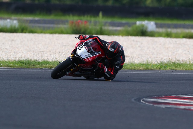 赢的选择 赢的选择